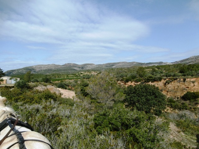 P1010751.JPG