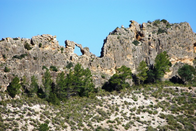IMGP4998.JPG