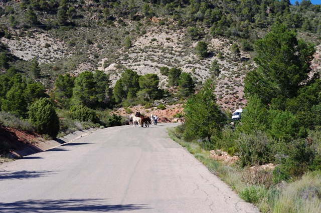 IMGP5407.JPG