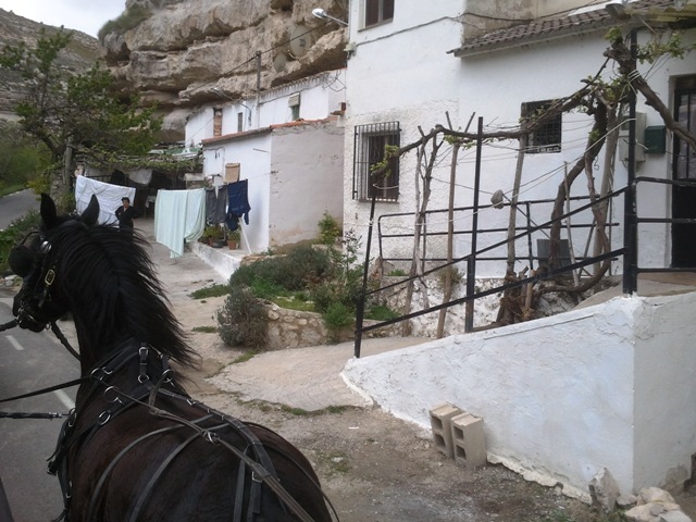 20160416_110153.jpg