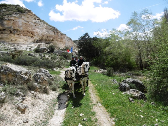 P1010833.JPG