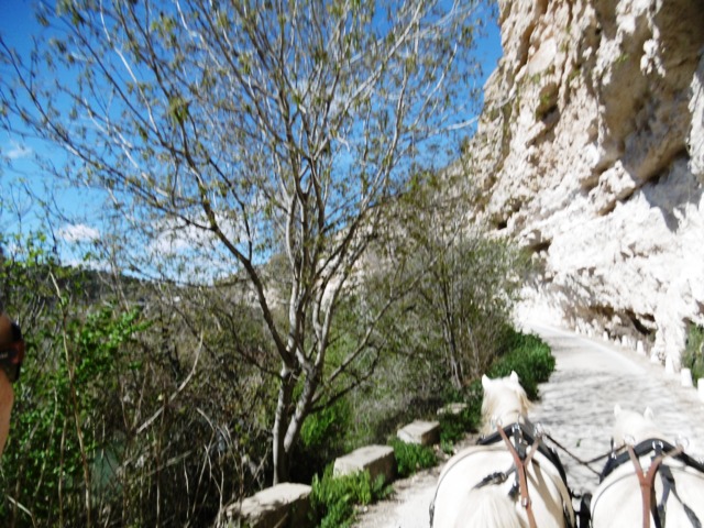 P1010823.JPG