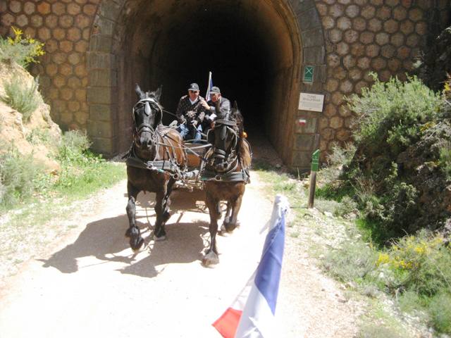 IMG_0197 - Copie.JPG