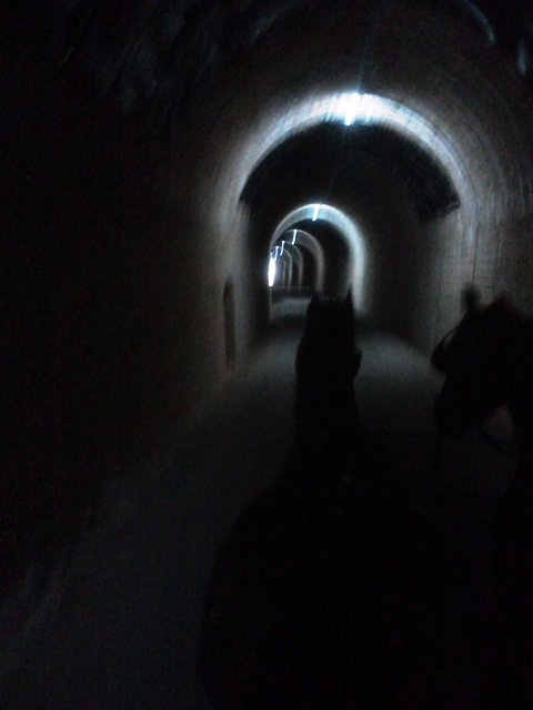 20160419_082723.jpg