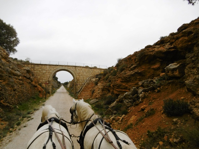 P1010847.JPG