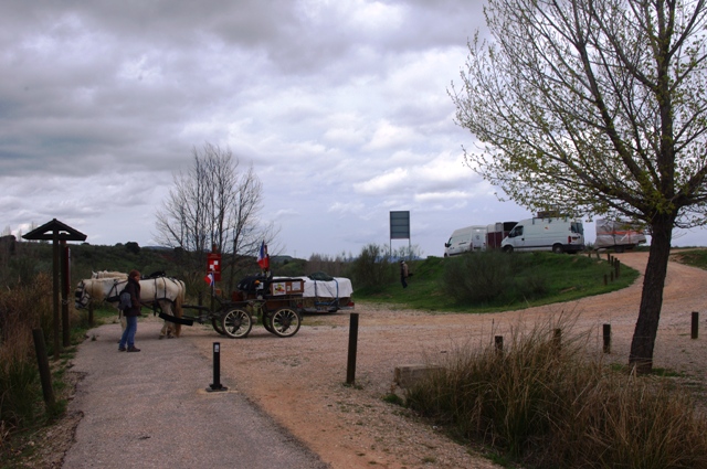 IMGP5577.JPG