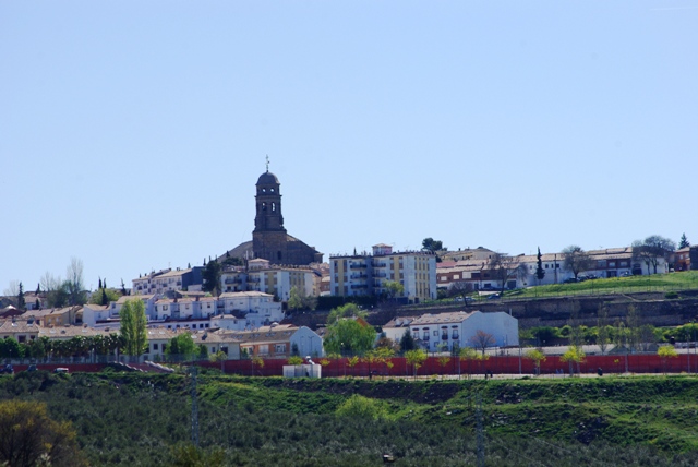 IMGP5015.JPG