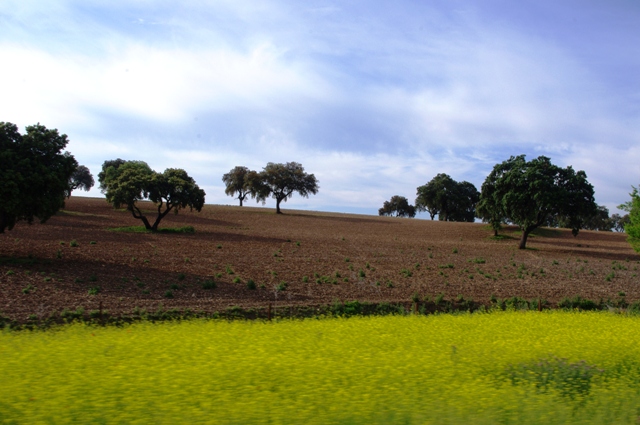 IMGP5998.JPG