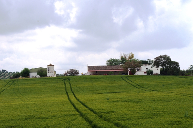 IMGP6112.JPG