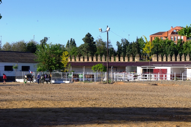 IMGP6260.JPG