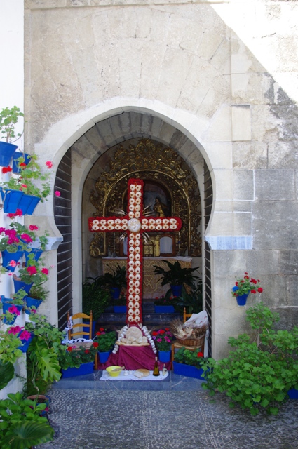 IMGP6295.JPG