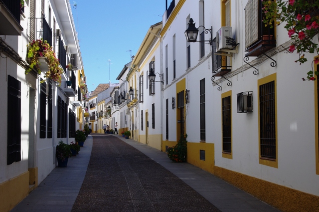 IMGP6330.JPG