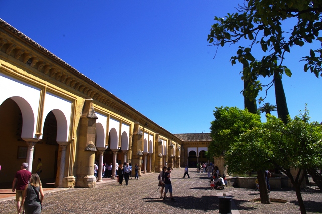 IMGP6387.JPG