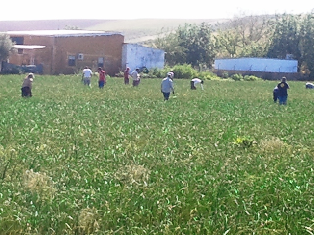 20160503_113742.jpg