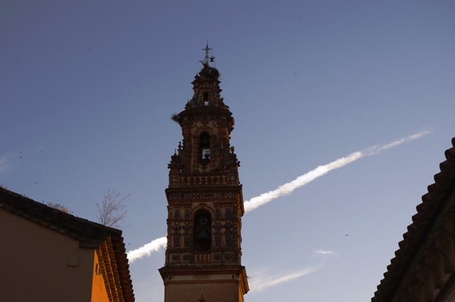 IMGP6486.JPG