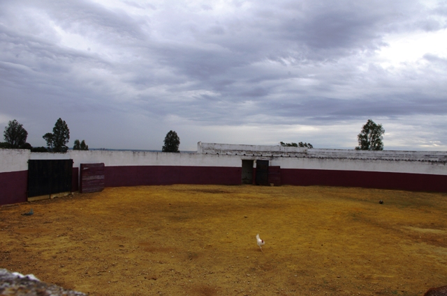 IMGP6549.JPG