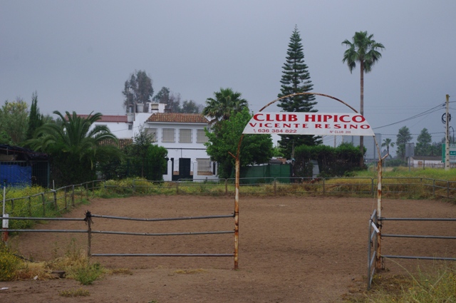 IMGP6579.JPG