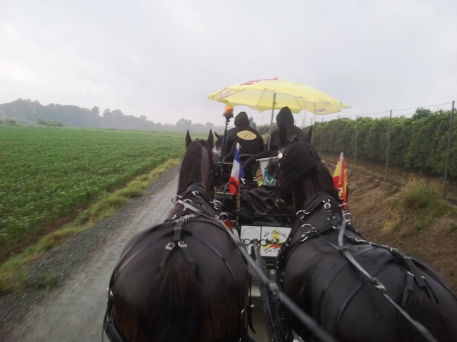 20160506_082633.jpg