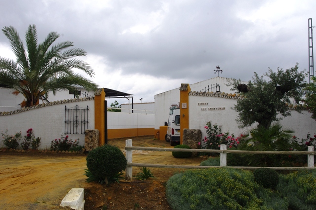 IMGP6584.JPG