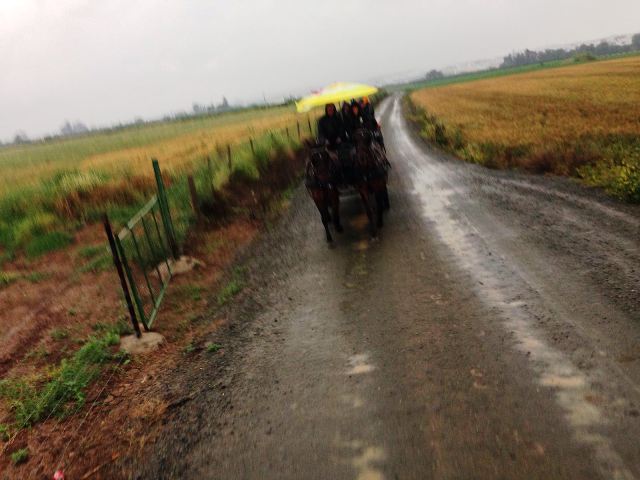 IMG-20160506-WA0004.jpg