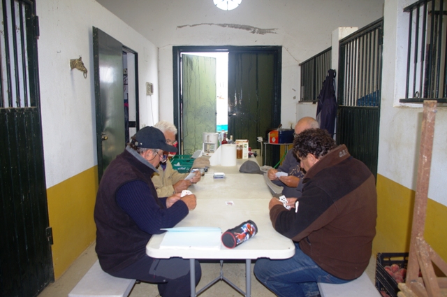 IMGP6625.JPG