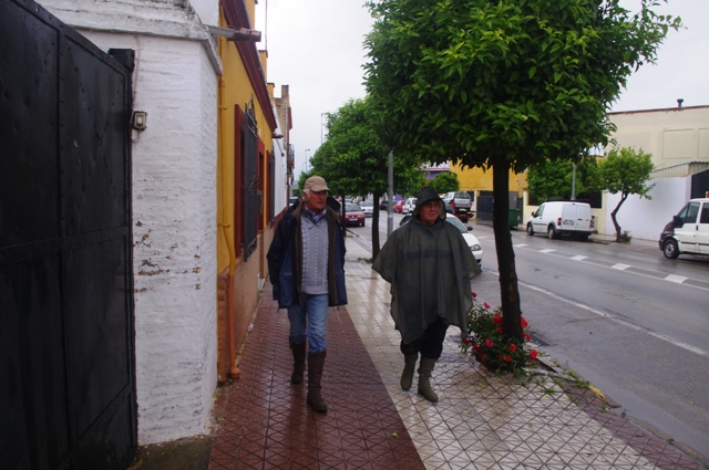 IMGP6696.JPG