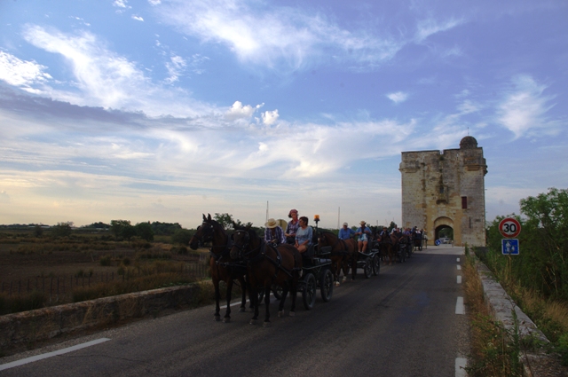 IMGP0118.JPG