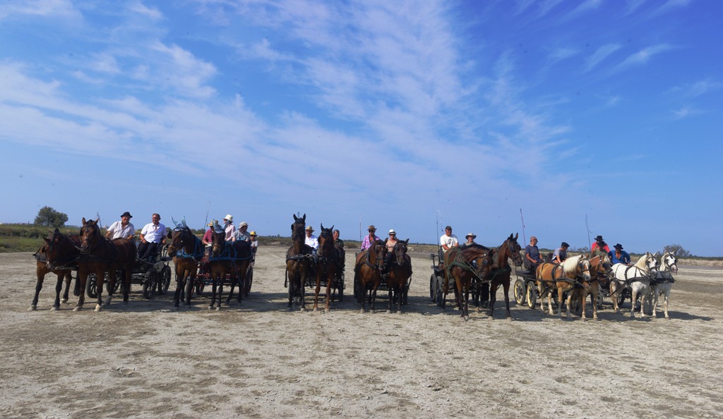 Panorama sans titre1.jpg