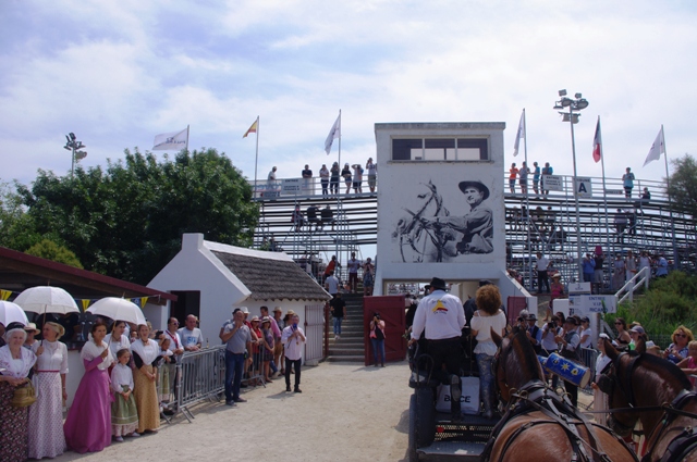 IMGP0275.JPG