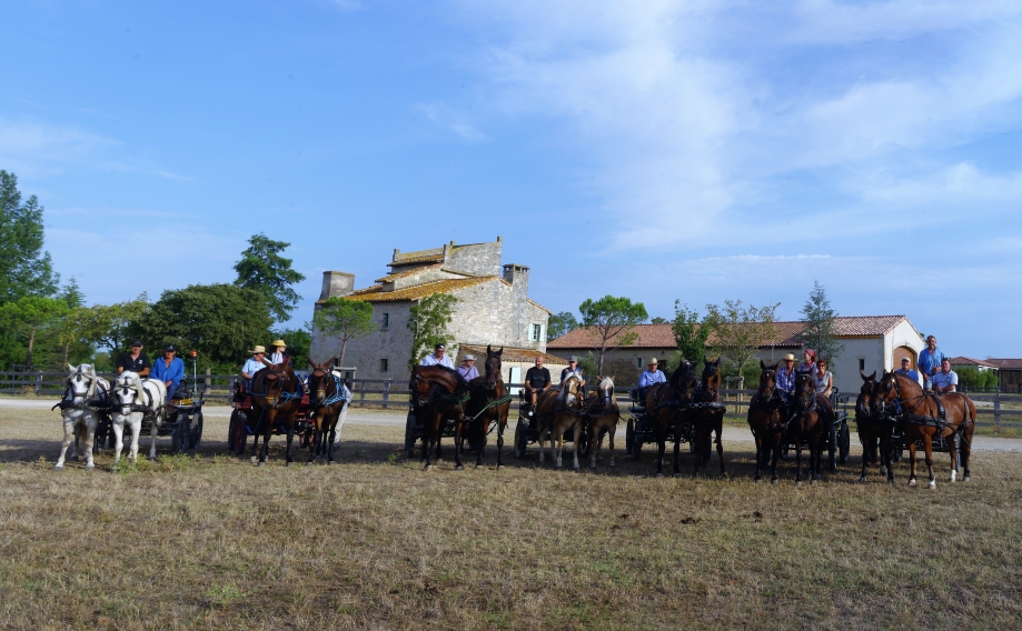 Panorama sans titre4.jpg