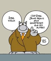 le chat.jpg