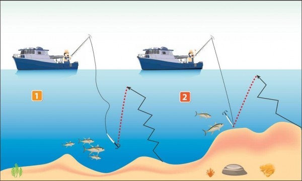 Découvrir les Cannes Jigging pour Pêche