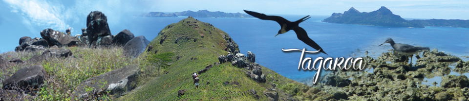 Les îles Gambier, un Musée d'Histoire pour l'Océanie