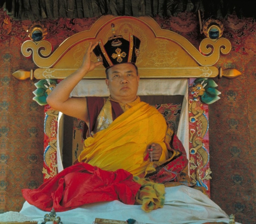 16th Karmapa at Dagpo Kagyu Ling..jpg