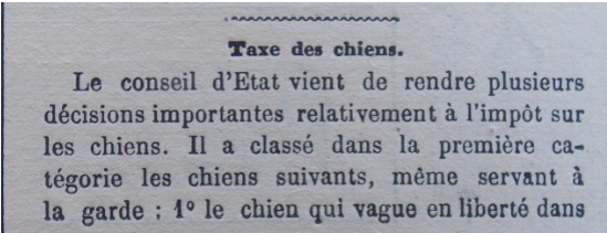 taxe chiens 1.PNG