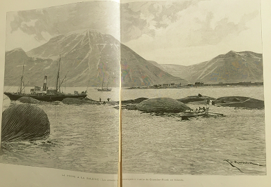 photo double page pêche à la baleine réduit.png