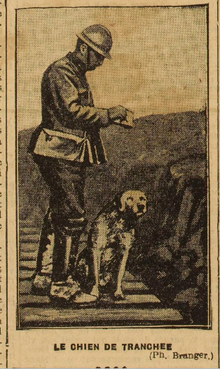 chien de tranchée 20-5-1916.png