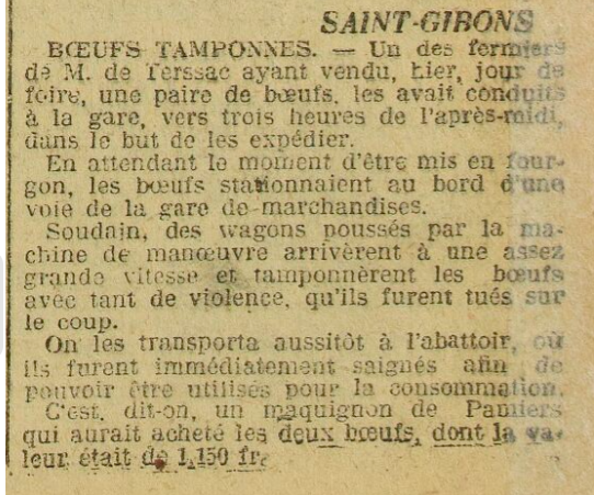 boeufs tamponnés 11-2-1913.png