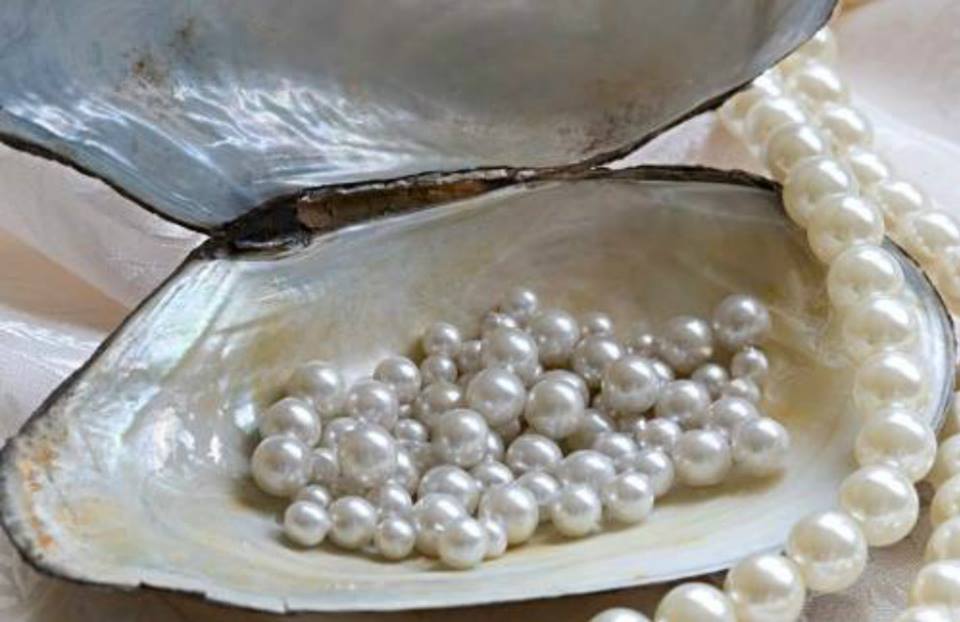 perles de coquillage.jpg