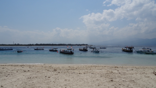 DSC00511.JPG