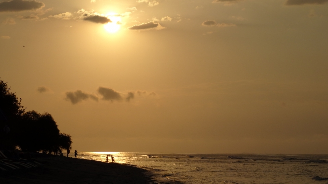 DSC00500.JPG