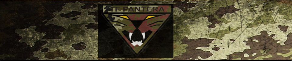 TASK FORCE PANTERA