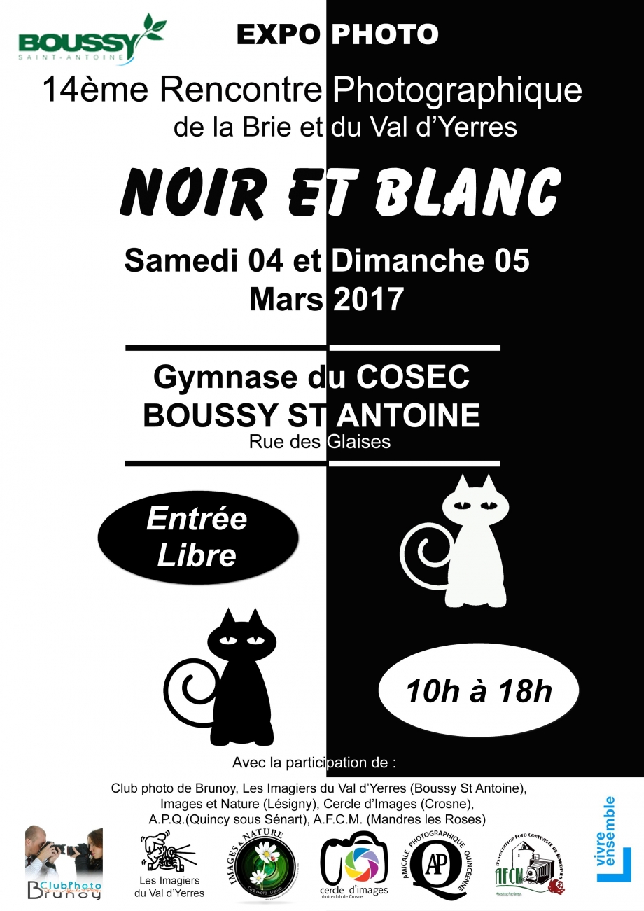 2017-03-04 et 05 Affiche expo Interclub Boussy Les Imagiers.jpg