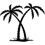 stickers-palmiers-livraison.jpg