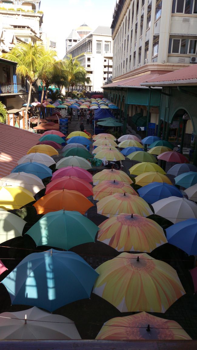 Parapluies suspendus