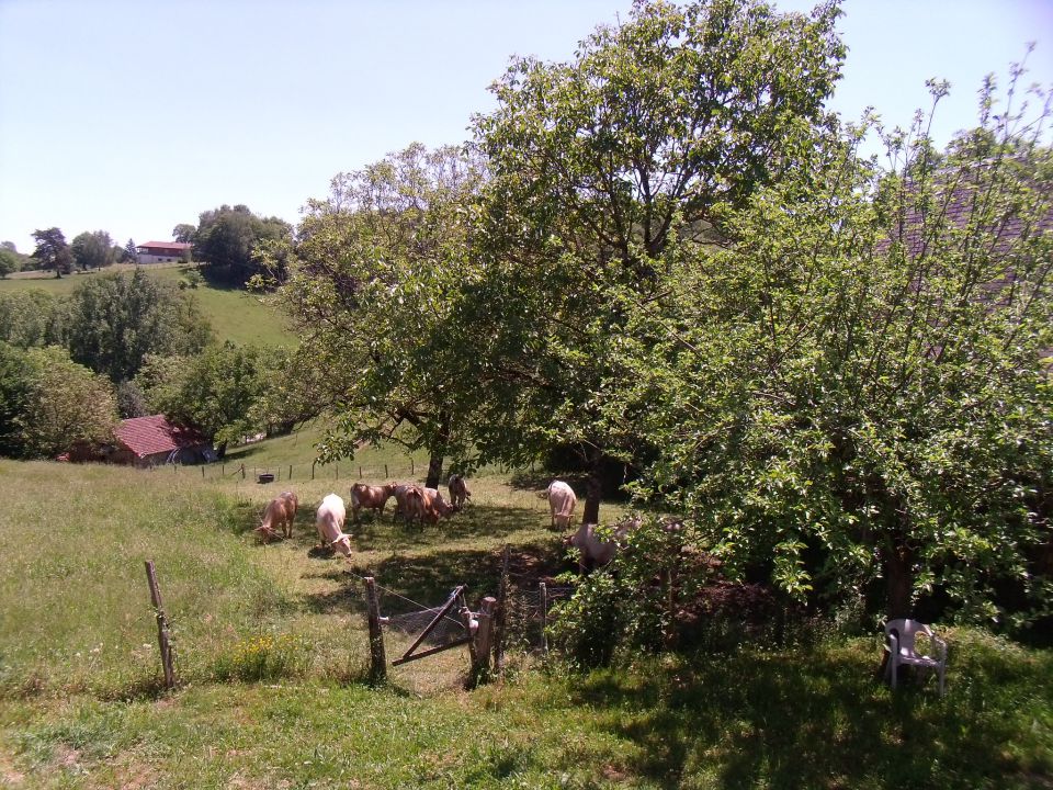 Ferme du Moulin de Nadal