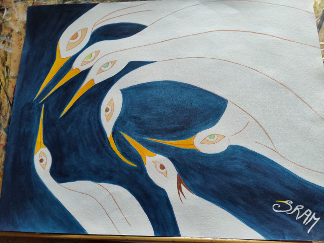 Oiseaux