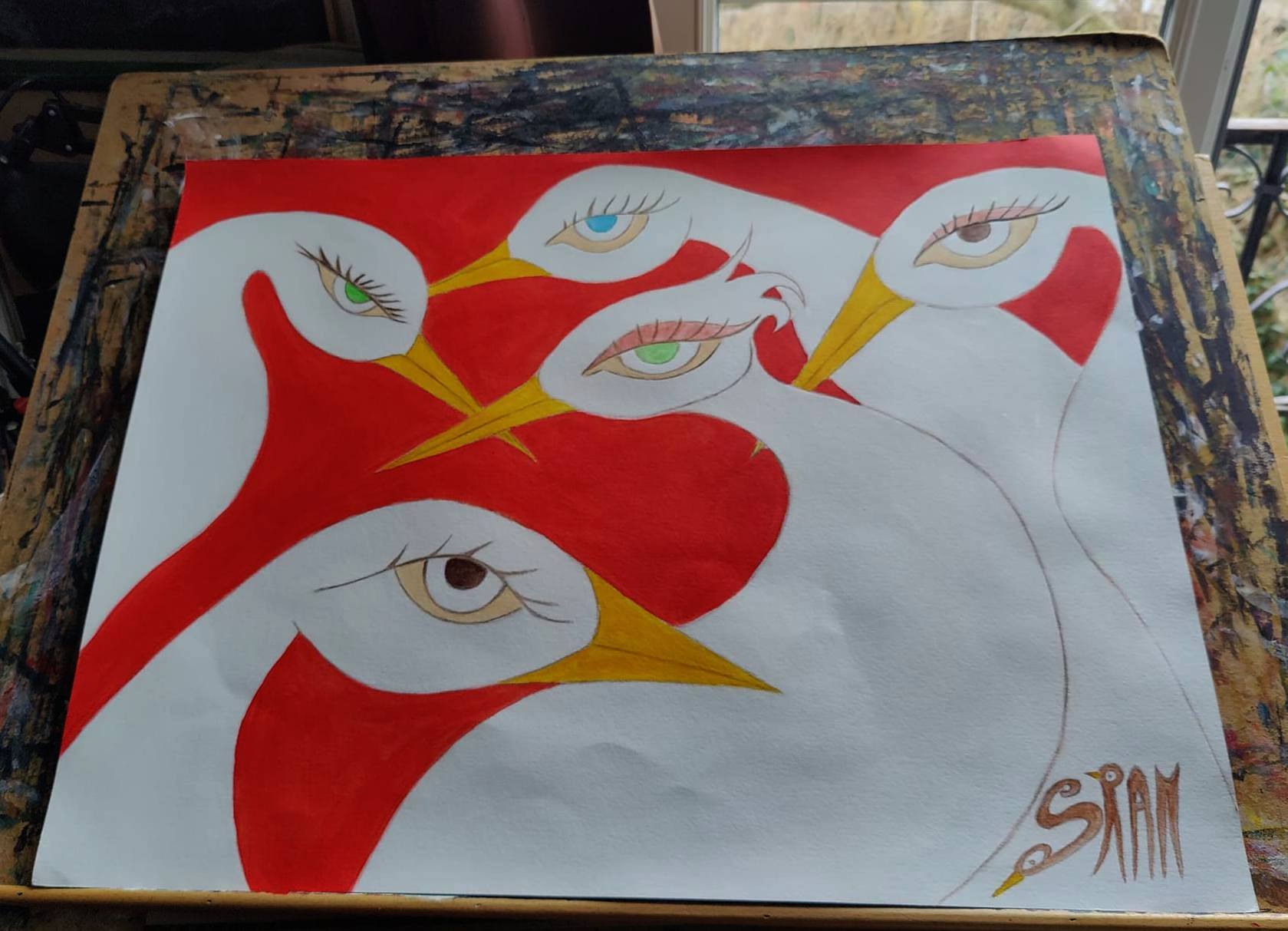 Oiseaux