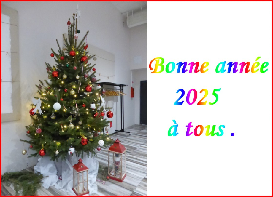 bonne année 2025.jpg