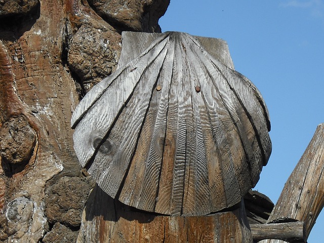 saint-jacques-de-compostela-172707_640.jpg